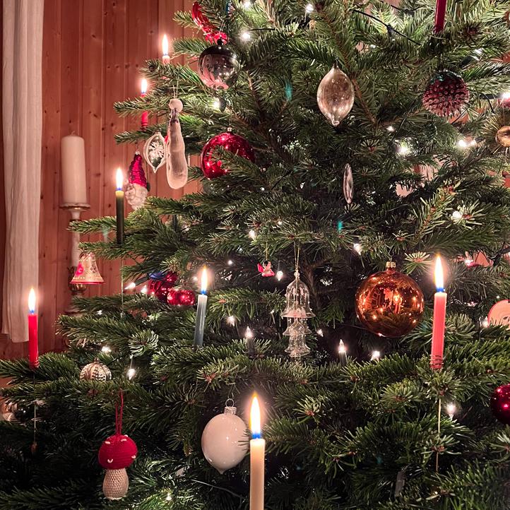 24 bunt gemischte Baumkerzen - 3